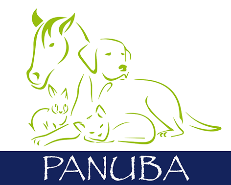 Résultat de recherche d'images pour "panuba logo"